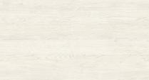 66-D3800-CL-Dab-Rzym-0_fancyhdsmall