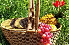 Sztuczne owoce w koszyku piknikowym